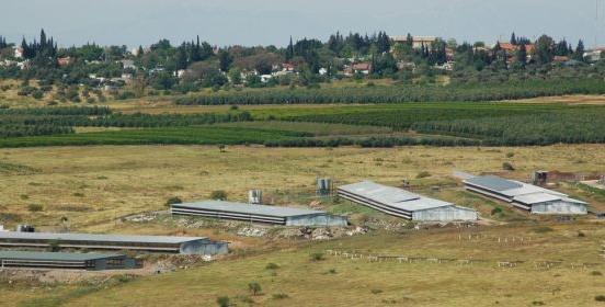 kibbutz in the sea of galilee