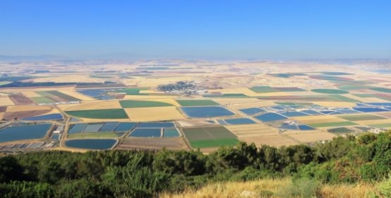 Picturesque squares colored fields of the valley of Galilee